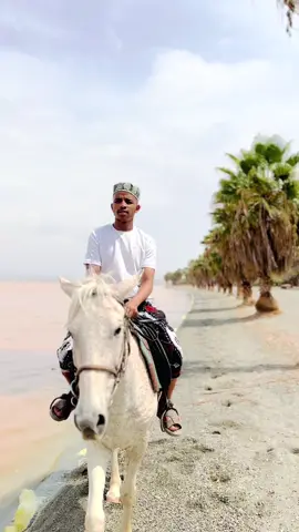 #minaraproduction @Alfaruk_MultimediaⓇ @hamudi_pictures 