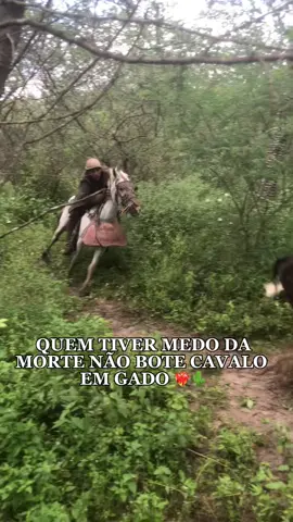 Vida de vaqueiro ❤️‍🔥                                    #vaqueiro #cavalo#pegadeboinomato 