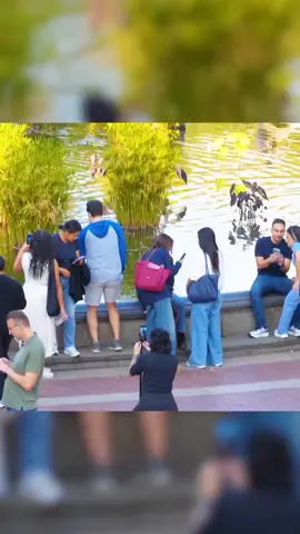 #fart #fartprank #foryou #fypシ #prank 