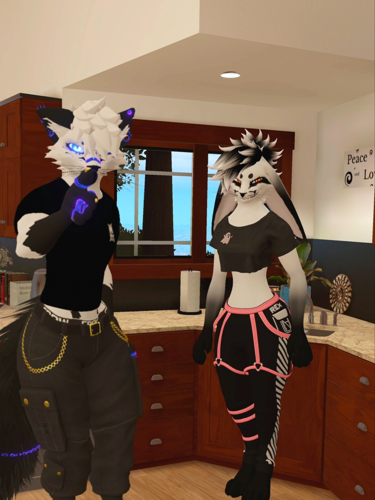 Foi o editor, não tenho nada ver com isso 👀 #vrchat #foryou #memebr #mulher #furry