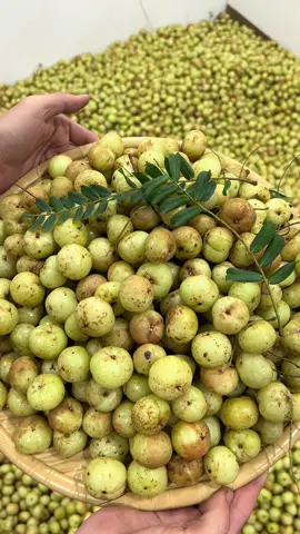 Mắc kham hàng mới về ạ #mắckham #xhtiktok 