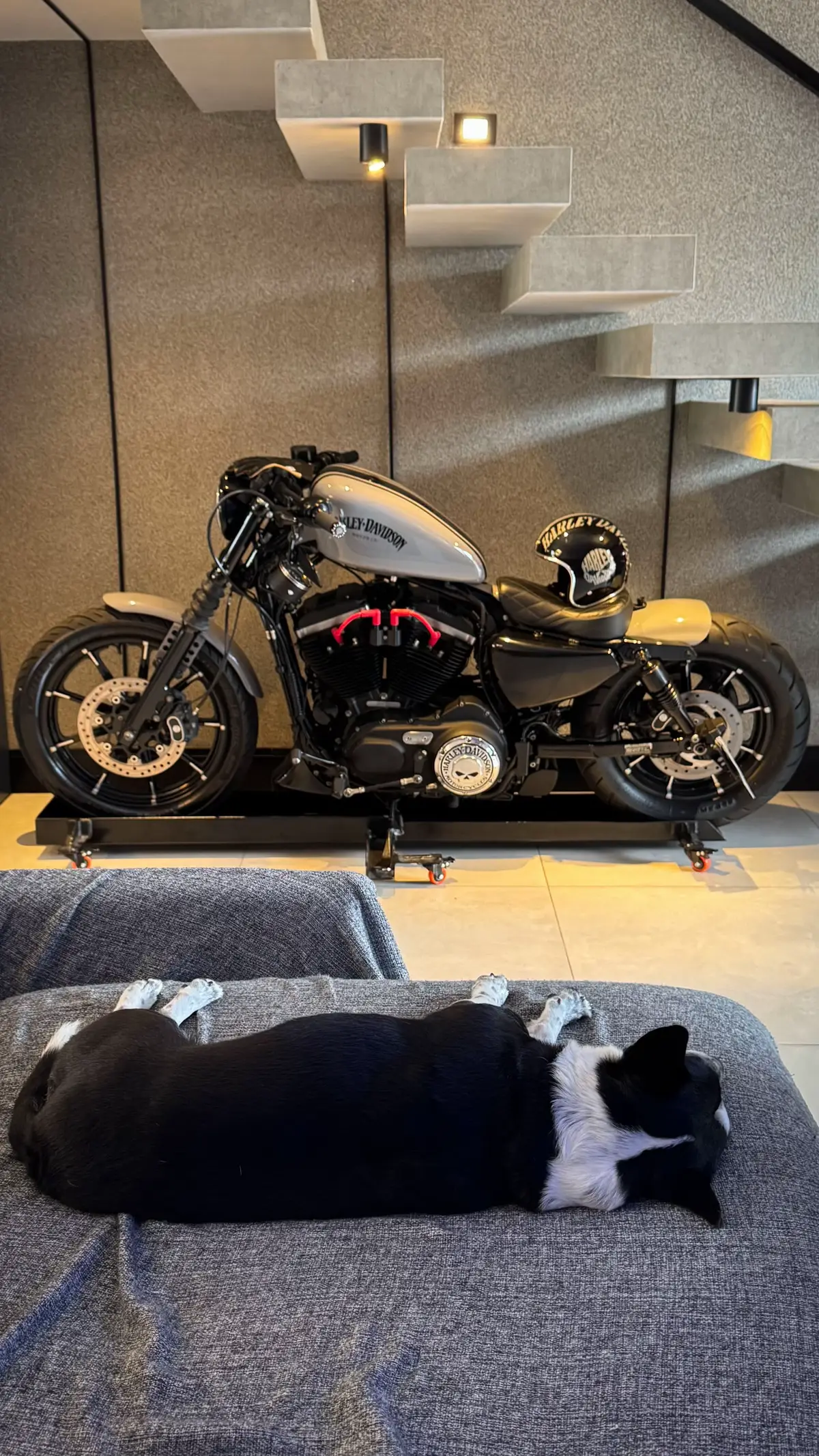 A preta com branco e a cinza com preto!!  #harleydavidson #sporster883 #bobber #883 #custon 