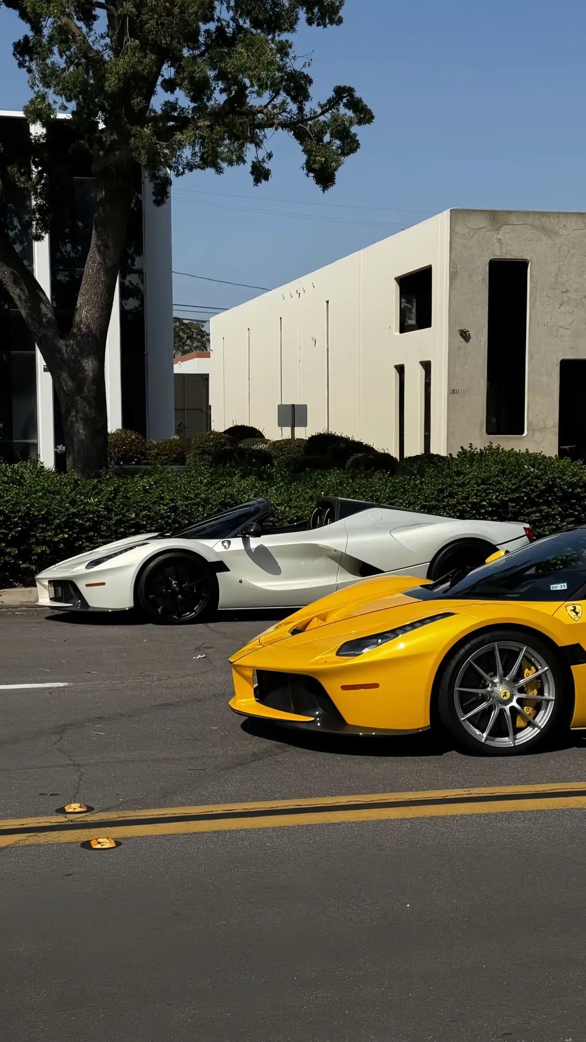 #Summer #Lifestyle #classy #summermashup #photo #fyp 