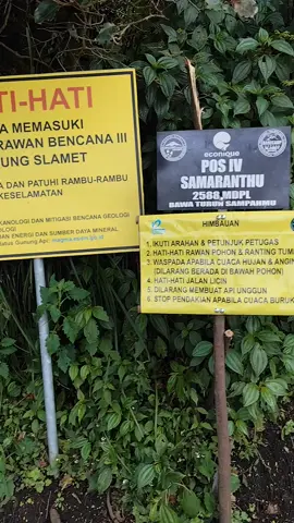 pos 4 gunung Slamet via bambangan ganti nama gaes.  ok sip. wes ra horor meneh.  #gunung #gunungslamet #samaranthu  #slametviabambangan 