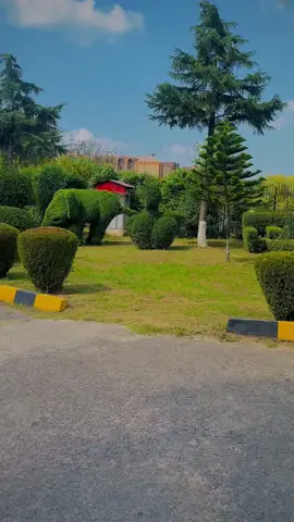 Ayub Medical college 🫶🫀@𓆩👑 ᔕYᗴᗪ ᘔᗩᗪᗩ♥️ 👑𓆪 🫀