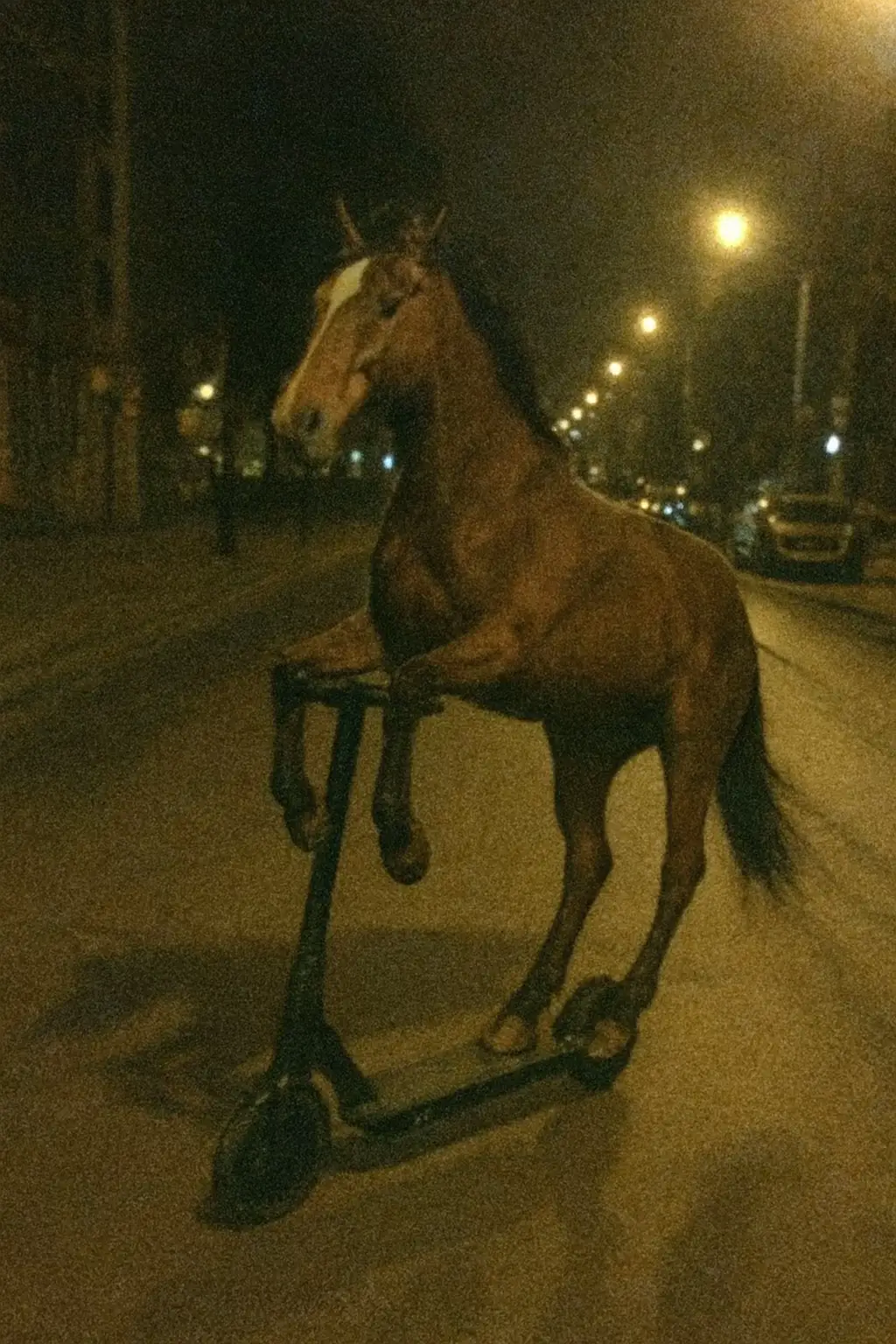 #horse #fyp #brainrot 