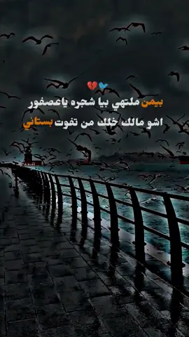 #عباره #عن #شجره و #عصفور #تصميم_فيديوهات🎶🎤🎬 