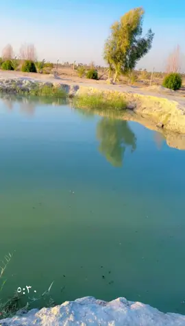 #حاج_يوسف_ابوحيه_ديالى_مندلي_بلدروز #هايابه_اله_سفرة_سفوري😂😂❤ #شعب_الصيني_ماله_حل😂😂 