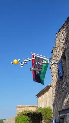 ,ِبس،القلب،فلسطيني؟😔❤️‍🩹.##بدون_موسيقى☕🖤 #ليبيا_طرابلس_مصر_تونس_المغرب_الخليج #f #شحات_سوسه_راس__البيضاء_طبرق_ليبيا #فلسطين🇵🇸 