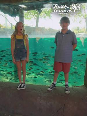 Experience unique coasters, up-close animal encounters, amazing events & more!