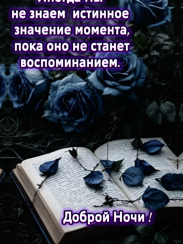 #видеомысли #красивоевидео #ночь #добройночи #слова 