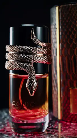 Musamam - a fusion of saffron, amber wood, and incense. Your elegance in a bottle 🔥 #lattafausa #fyp #fallfragrances #fragrancetiktok #musamam 