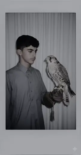 #للطير حب مستباح#الشعب_الصيني_ماله_حل😂😂 #CapCut #العراق♕الموصل 