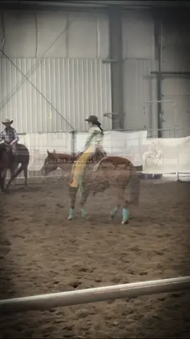Little mash up of my whole season in 1 video. Sweet Dream Woman sure stepped up this year 🥰 #marepower🦄🦄#fyp#cuttinghorse#albertacanada#aqhaproud