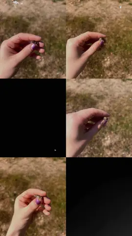 One eyed baby frog 