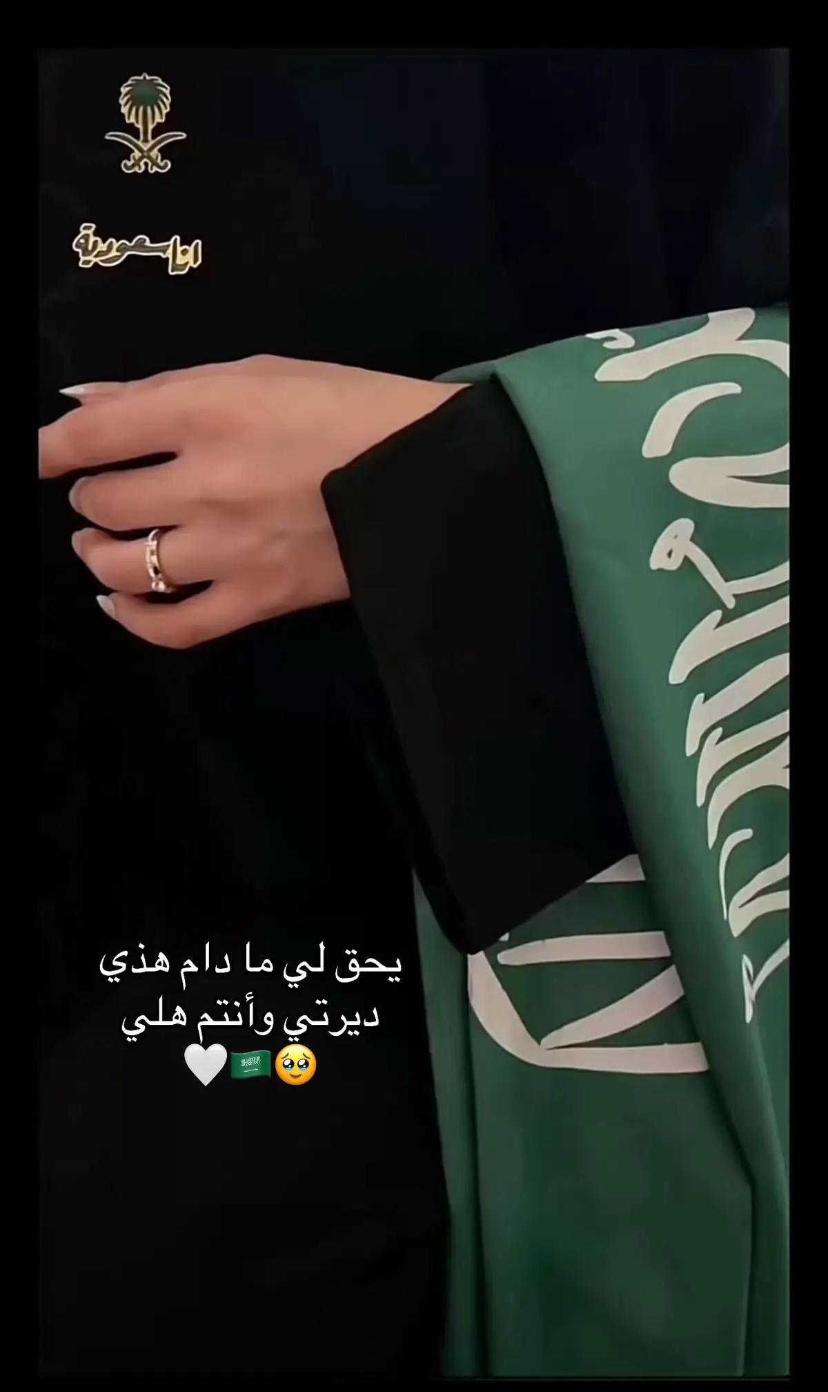 #السعودية🇸🇦 #اليوم الوطني السعودي #95 #فخر_السعودية 