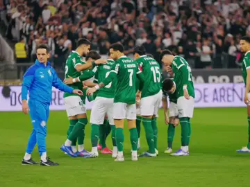 #palmeiras #libertadores #brasileirao #manchaverde #fypシ゚viral 
