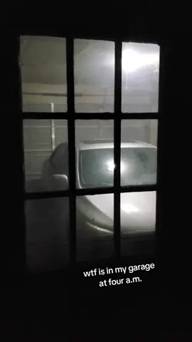 something was making a ruckus in the garage early this morning and scared us but I still can't figure out what it was or what it was messing with #creepy #creepytok #creepytiktok #haunted #hauntedhouse 