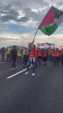 #freepalestine🇵🇸❤️ 