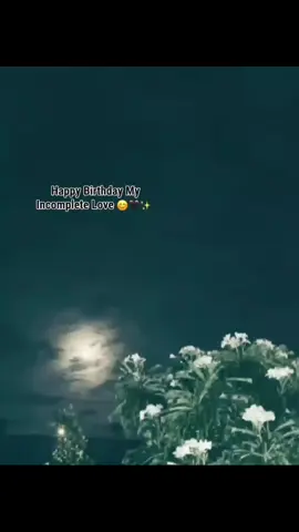 ei din er jonno always w8 kortam kbe apnre wish korboo ,, even onk kichu plan koira rakhchilam,,However kokhn o apnr khrp chai nai and chaibo o naa ,, always etaii pray kori jee vlo thaken ,sukhe thaken ,, life e sukhi hon,, Maybe ami e ekmatro worst person chilam apnr life e ,, rager mathay ki theke bole pellam ,ami kokhn o vabi nai je oita apni etto seriously niye niben , ekta khta ki apni amr just ekta khrp dik e dekhlen ,but apnre je etto love kori ,etto chechra hoilam and hoi ,,etto effort dilam seta kokhn o dekhlen na ,,accha bad den ,, jai hok amree maf koiraa diyen ,ami extremely sorry ,,, Ami apnr proti onk onk onk kritongoo onkk ,,Apnr jonno mon theke duya korii vlo thaken always , Kokhn o ar ami disturb korboo naa , apnre ei koydin onk disturb korchi ,onk jalaichii , tar jonno ami extremely sorry ,maf koira diyenn,,, Ami na mentally sick ekhn ki bolbo nijeo bhujtechi naa ,just etai apnr jonno onk duya vlo thaken always ,, Ar amre maf koiraa diyen , Allahr kosom ami mon theke boli nai oisob. mejaj onk gorom hoi gechilo ar hurt hoichilam,eccha koira boli nai,,trporeo onk maf chaichi even ekhn o chaitechiii. ,Maf koira diyen , apnr din gula shundor hok , apnr life ta aro onk onk onk shundor hok,duya kori,,, Ar Happy birthday 🤍✨🫶🏻 ... #foryoupage #viralvideo #foryouviral #tiktokofficialbangladesh #foryoupage 