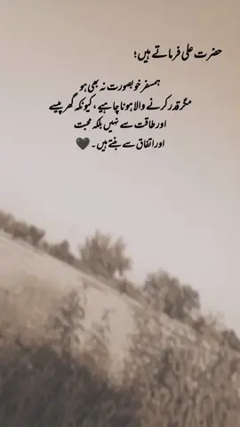 hazrat Ali RA farmate Hai🖤 #1millionaudition #aesthetic #poetrystatus #foryou #foryoupage #fyp #deep_lines467 