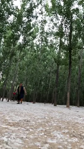 中国功夫十八般武艺每天更新 #martialarts #JackieChan #Chinese Kung Fu#kungfu