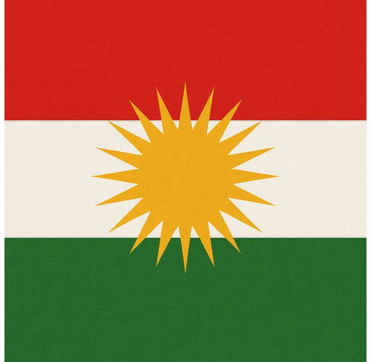 مێژوو ئەڵێ سەدان کەڕەت گۆڕەپانی منیان کرد جەهەندەم و وڵاتێکیان تیا هەڵقرچان بەڵام هەرگیز نەیان توانی دوو دیاردە لەسەر سینگم بسڕنەوە یەکێکیان کورد و ئەوەی تریان وشەی پیرۆزی کوردستان! #fyp #kurdistan #kurdish #kurdishflag #knowledgeuniversity 