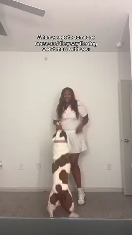 Ayo who dog is this???? #awklauryn #reallifewithlauryn #comegetyourdog #crazydog #relatable 