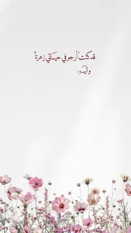 بيبي غزل💘 #pov #مصممة_دعوات_الكترونية #دعوات_زواج #دعوات_الكترونيه #بشارة_حفيدتي 