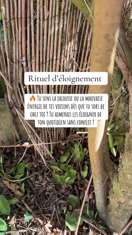 ✨ Éloigner les énergies négatives ✨ Tu sens autour de toi des personnes lourdes, jalouses, ou même des voisins qui te fatiguent ? 👉 Sache que tu n’es pas obligé(e) de garder ces énergies dans ton espace de vie. Il existe des pratiques énergétiques puissantes pour couper les liens toxiques et retrouver ta paix intérieure. 🌙 💫 Tu veux éloigner ces personnes de ton quotidien ? 💫 Tu veux retrouver ta sérénité ? ➡️ Clique ici pour me contacter directement et recevoir ton accompagnement personnalisé : www.morganewitch.com #énergiesnégatives #protection #rituel #spiritualité #witchyvibes     