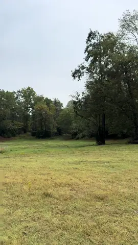 My happy place.  #fyp #fypシ #fypシ゚viral #foryoupage #farmlife 