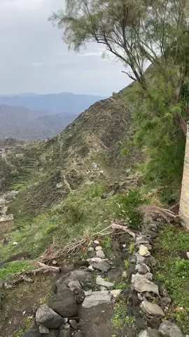 #يافع_الارض_الطيبه #يافع_مناظر_خلابة  #يافع_كلد_المدرج 
