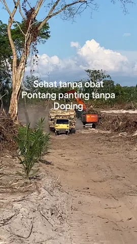 Jngan di samakan#umplung_mania #stylejambi #umplung #batubarajambi #kayubalap 