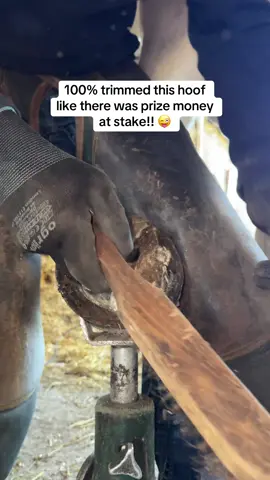 After a week of rain the hooves have become my easel! I felt like Picasso today! 🧑🏻‍🎨🤌🏼 #farrier #oddlysatisfyingvideo #fyp #hoofcare #farriersoftiktok 