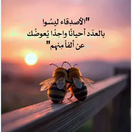 #ابي #للعقول_الراقية_فقط🤚🏻💙 