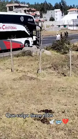 #sancristobal #carchifornia04🇨🇬😎🐴 #paro #todonorte04🇨🇬 #mmvergas 