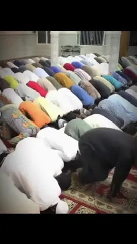 #creatorsearchinsights #fypシ゚viral🖤tiktok #foruoupage #islamic_media #islamic_video #muslimtiktok #islamic #muslim #alahuakbar #fouryou 