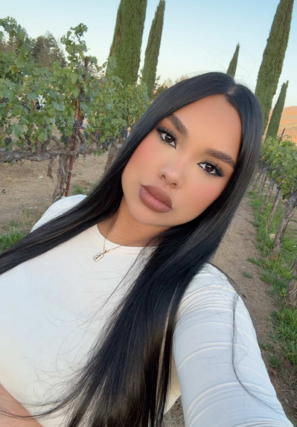 almost 37 weeks actually😭😭 #napavalley #babymoon #vineyard #sanfrancisco 