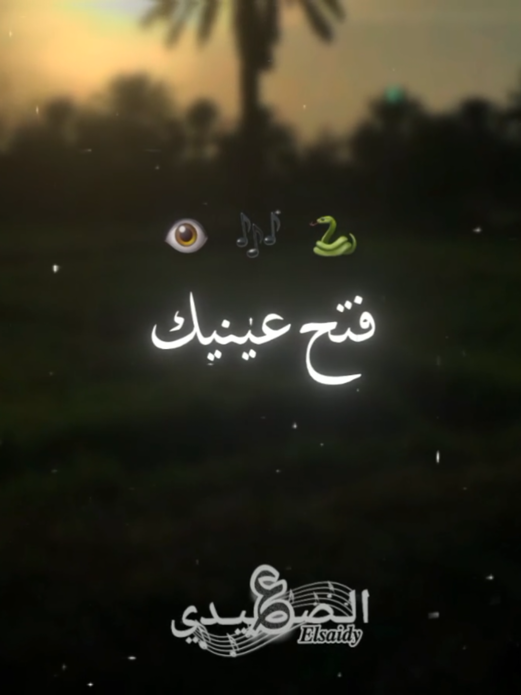 #فتح_عينيك_حواليك #احمد_عادل_كروان_الصعيد #صعيدي #حالات_واتس #elsaidy_831 