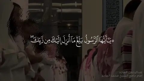 تلاوة من تراويح ليلة 8 رمضان 1443  للقارئ عبدالرحمن الماجد إمام جامع الشيخ محمد الماجد. #عبدالرحمن_الماجد #سورة_المائدة #قرآن #تلاوات #تلاوات_المساجد 