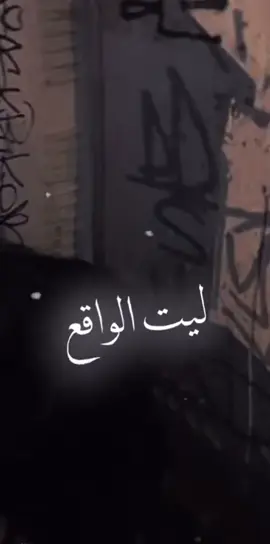 #تصميمي ‏يا ريت الواقع حلما وياريت الحلم واقع😔💔