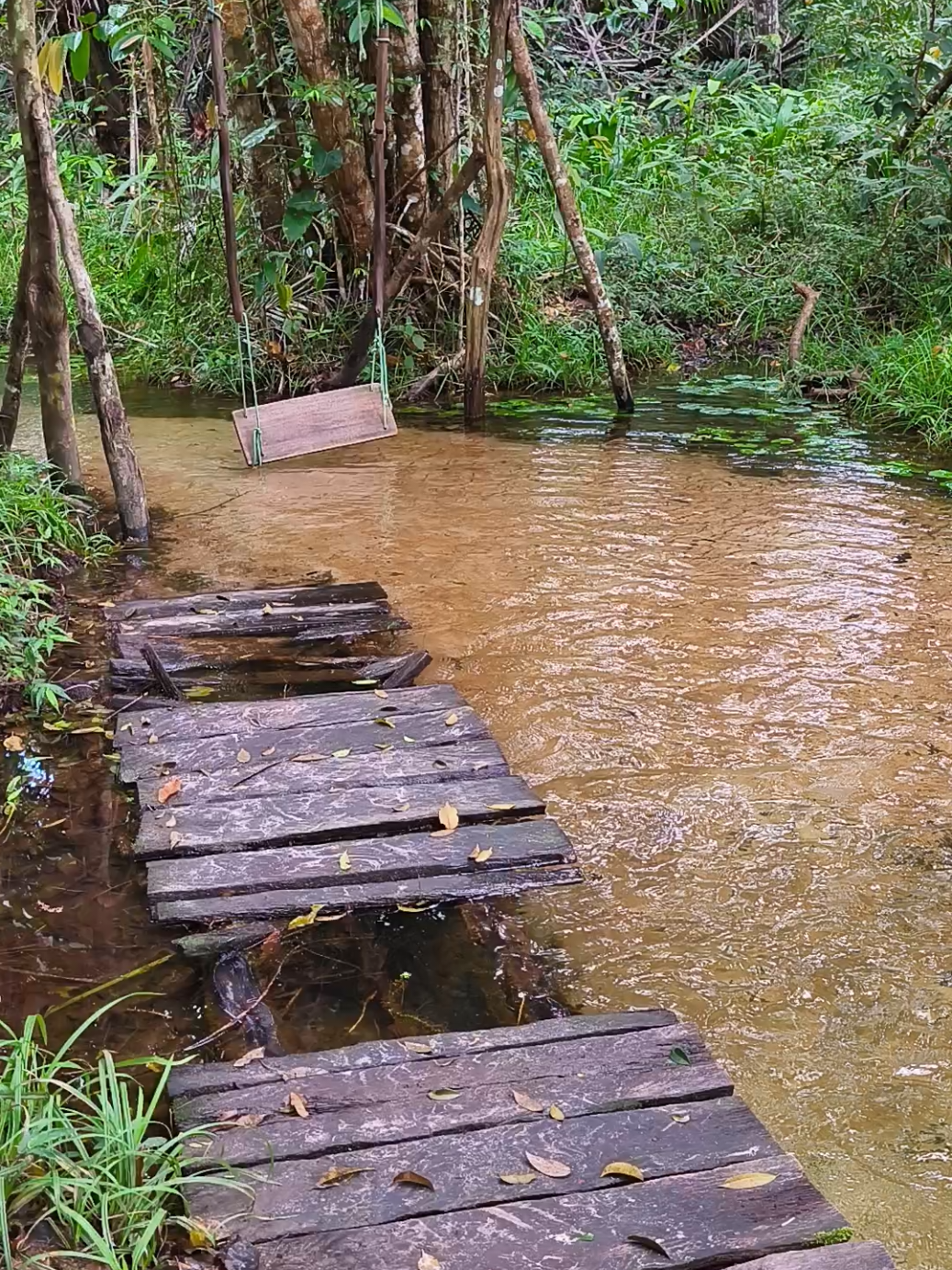 Rio do Gozo, Baía da traição-PB! Muita paz e tranquilidade 🌼❤️ #nature #paraiba #natureza 