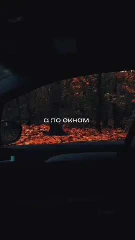 Как вам трек? 