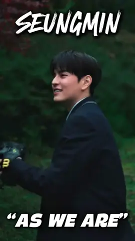 İyi ki Seungmin! 🤎🐶 🎶 As we are - Seungmin (Stray Kids) Türkçe Çeviri #kpop #çeviri #seungmin #asweare #straykids 