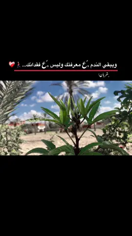 #تصميم_فيديوهات🎶🎤🎬 #تصويري_احترافي_الاجواء👌🏻🕊😴 #fypシ゚ #اعطيني_عباره_لهاذ_الفيديو💔🥺 #مالي_خلق_احط_هاشتاقات🦦 @♯̶﮼حَمودّيً  ☇  @𝕽𝕴𝕼𝕬 @✘͢͢  ✘͢͢ۦسـويـدي̷ོ @♯̶﮼حمودي⤻ 🇸🇦ᥫ᭡ 