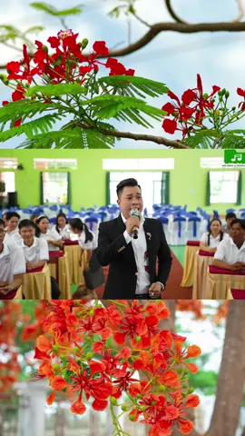 #tiktokawadsvn2025🎸🎻 🪕.        #cailuongvietnam🇻🇳🇻🇳🇻🇳🇻🇳 