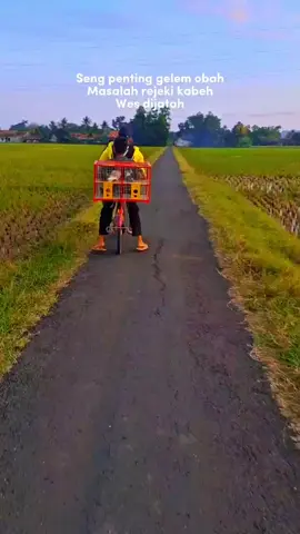 aku ora ngerti Mingarep arep kpwe...tp Q tetep Brusaha  lan Bismillah...  #pmtiindonesia🕊️🕊️  #merpatikolongmeja #hobimerpatikolong #sorotan