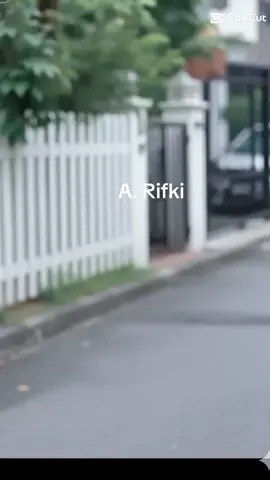 #CapCut 