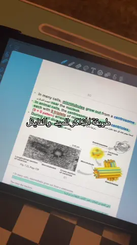 @AcadAI #اكسبلور #اكسبلورexplore #دكتور #اكسبلور_تيك_توك #صيدلة🥼💊💉 