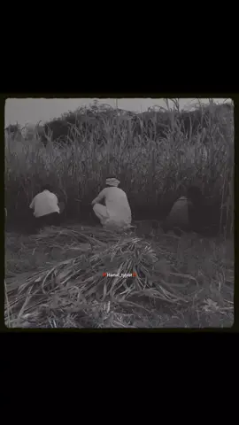 tu smja🤣😂😂😂#hamxi_typist #monitizedviews #myaccount #hamxi_typist #ltik tokpakista 